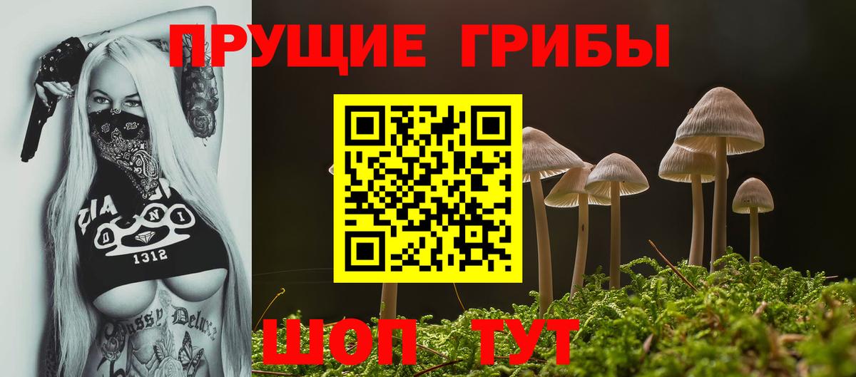 Сорочинск  купить наркотик  Галлюциногенные грибы Magic Shrooms  Вход с VPN  Псилоцибиновые грибы прущие грибы 